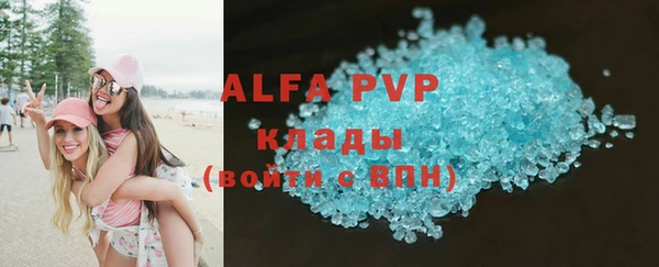 ECSTASY Алзамай