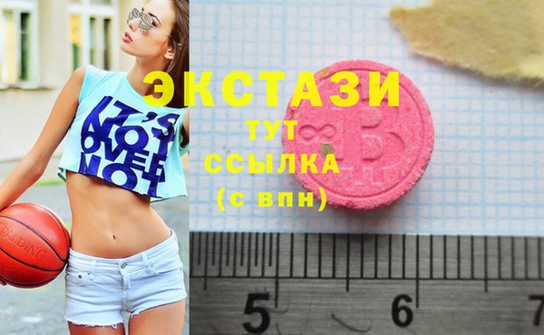 ECSTASY Алзамай