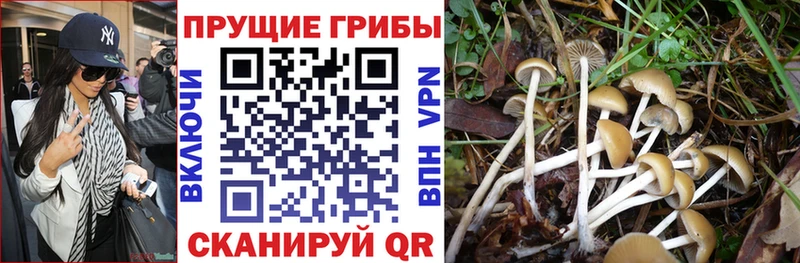 Галлюциногенные грибы Magic Shrooms  купить  сайты  Разумное 